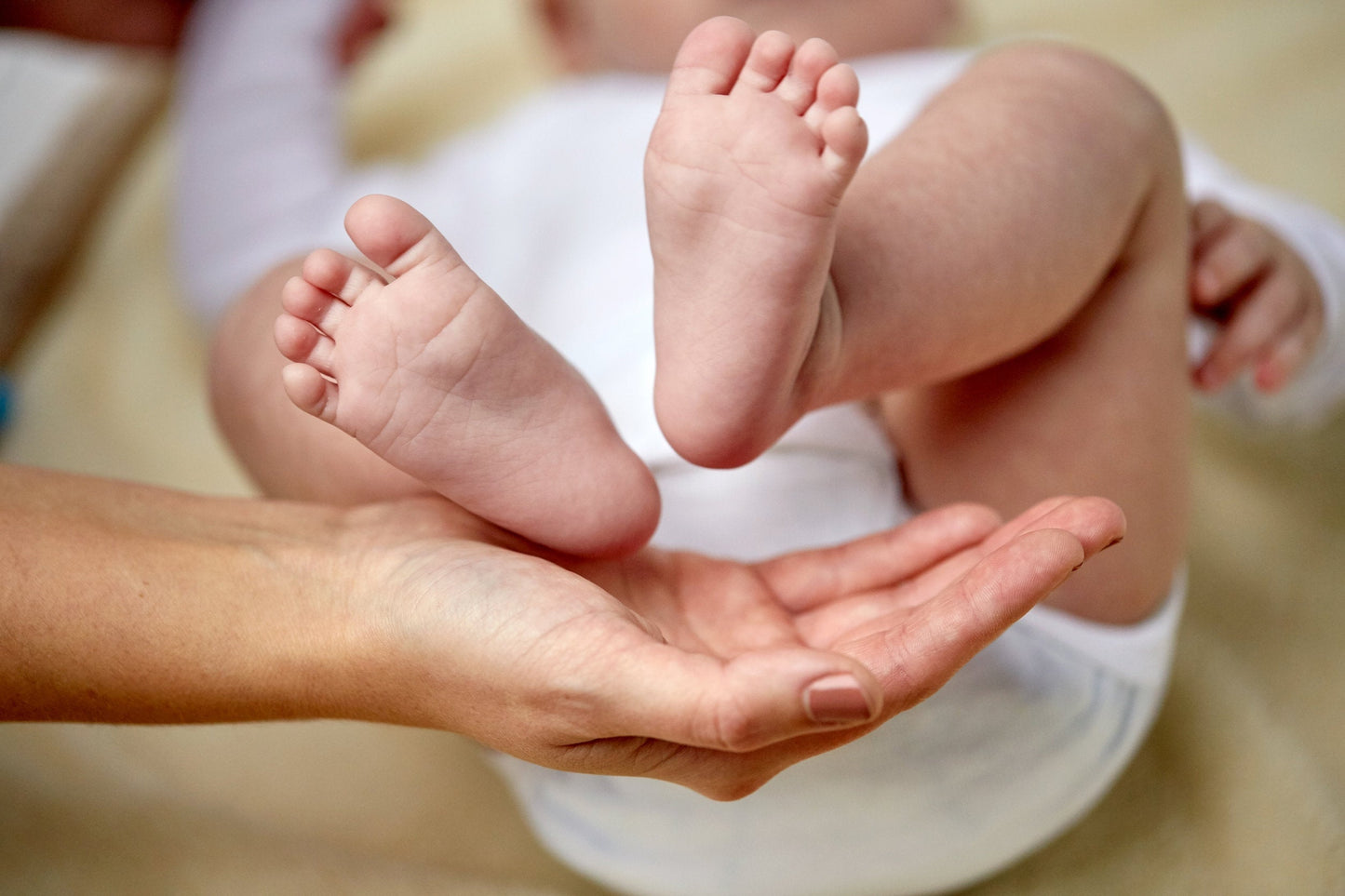 Oh Baby Oh! " What a bum!" Organic Diaper Balm