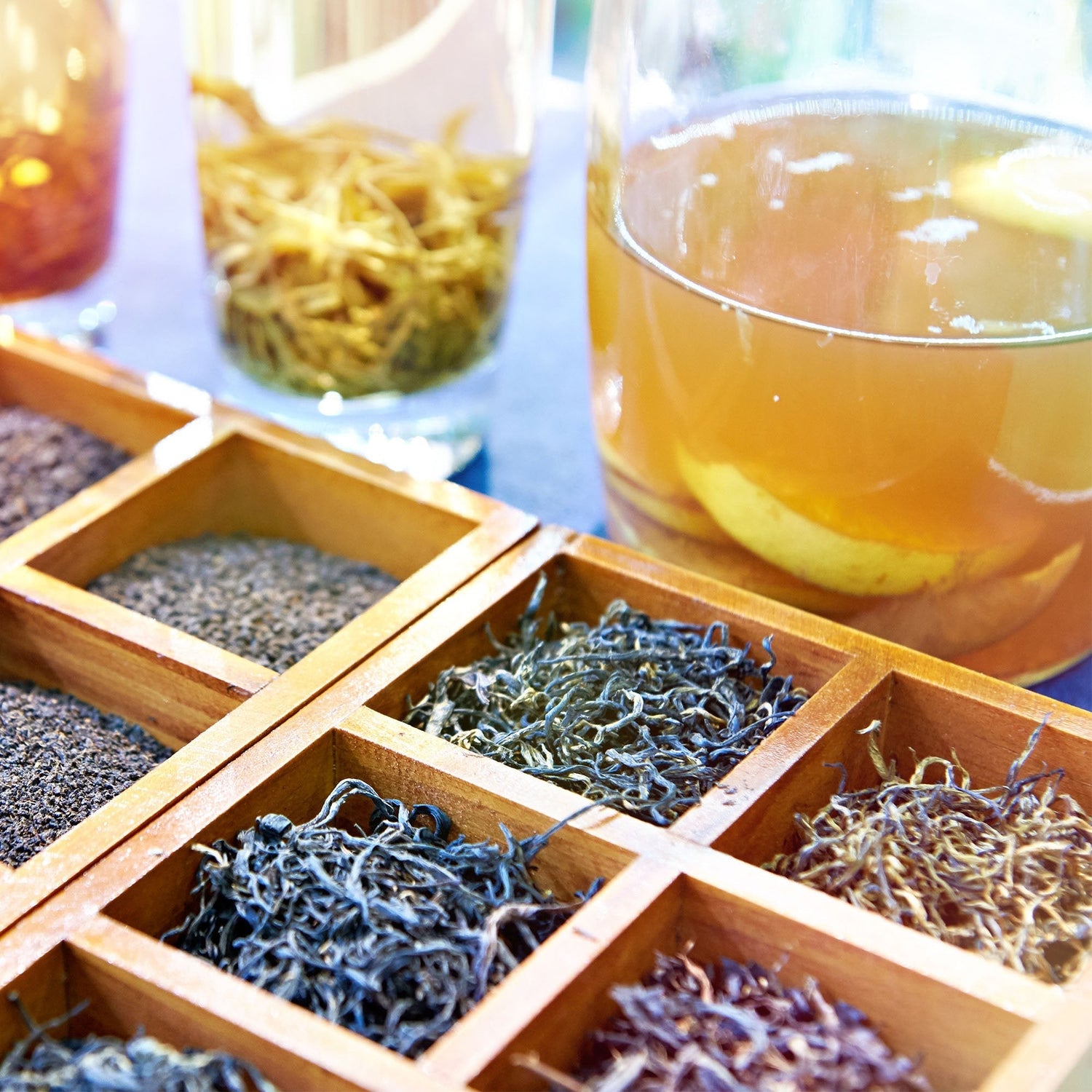 Wellness Essentials