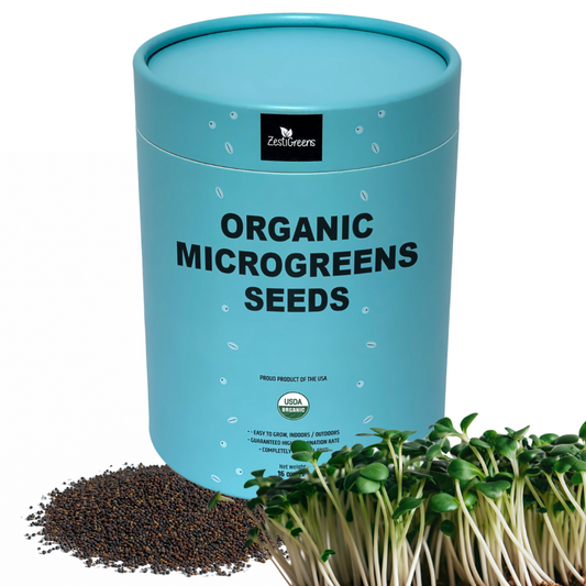 Container of organic microgreens seeds and sprouts