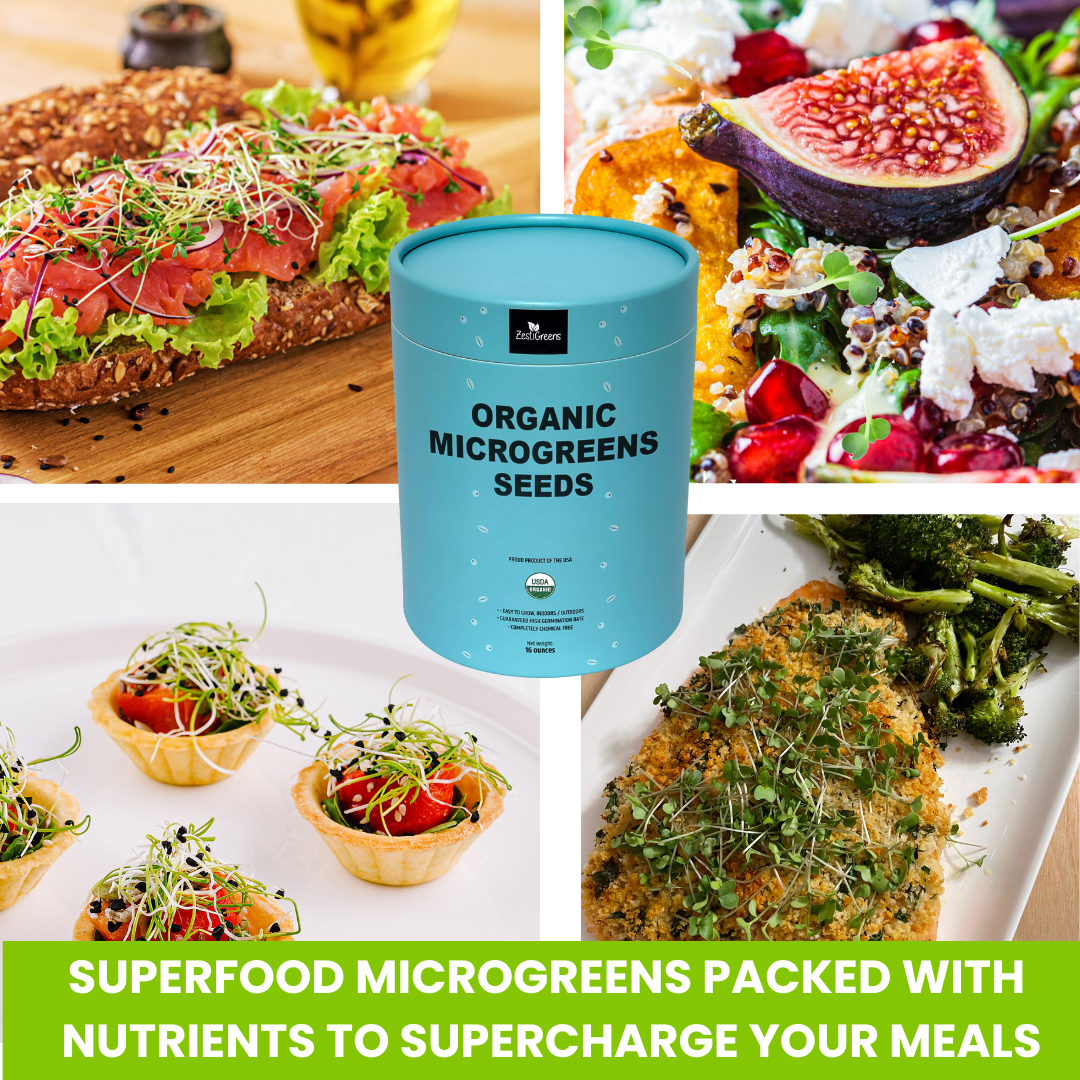 Superfood Microgreen Seeds Mix of Non GMO Organic Broccoli, Kale, Kohlrabi, Arugula & Cabbage Seeds in Food Grade tin for Easier scooping & Keeping Fresher.